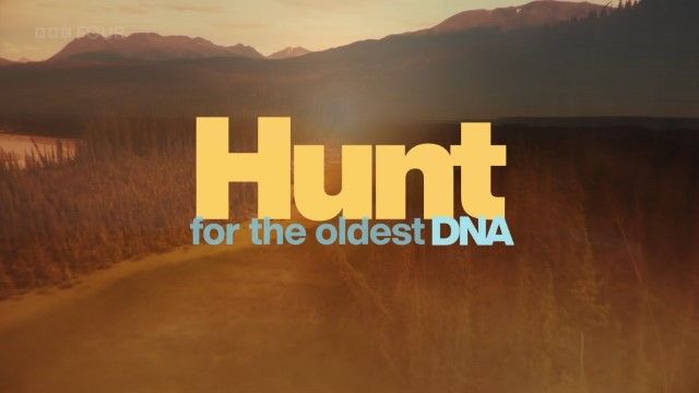 Hunt for the Oldest DNA